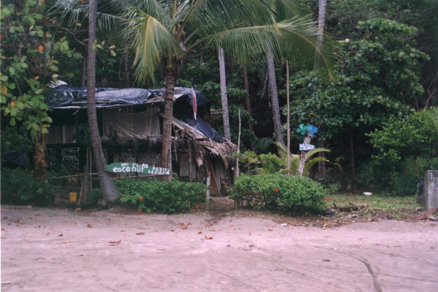 7-Coconut Hut