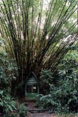 26-Bamboo