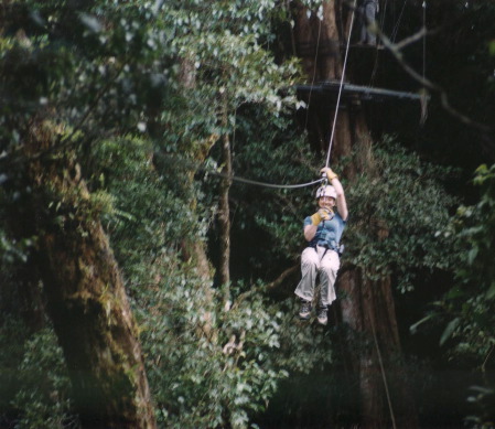 46-Canopy_Tour